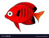 Red Fish Image